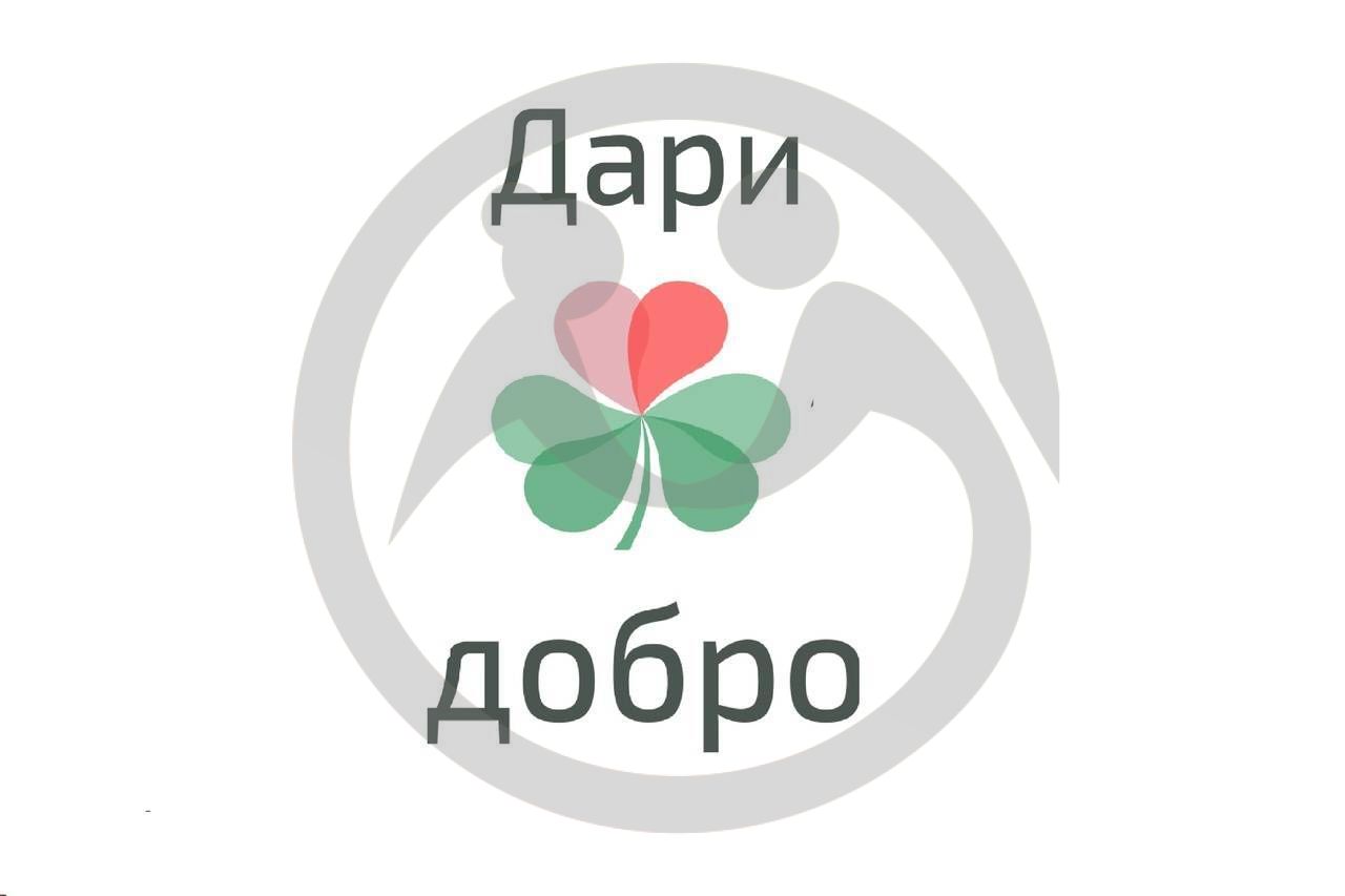 Благотворительный фонд поддержки социально незащищенных слоев населения &quot;Дари Добро&quot;
