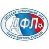 Региональная общественная организация &quot;Детская футбольная лига имени Виктора Горлова&quot;