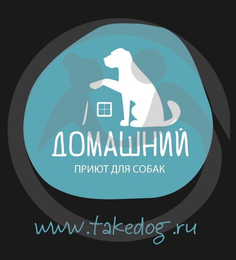 Благотворительный фонд помощи бездомным животным &quot;Домашний&quot;
