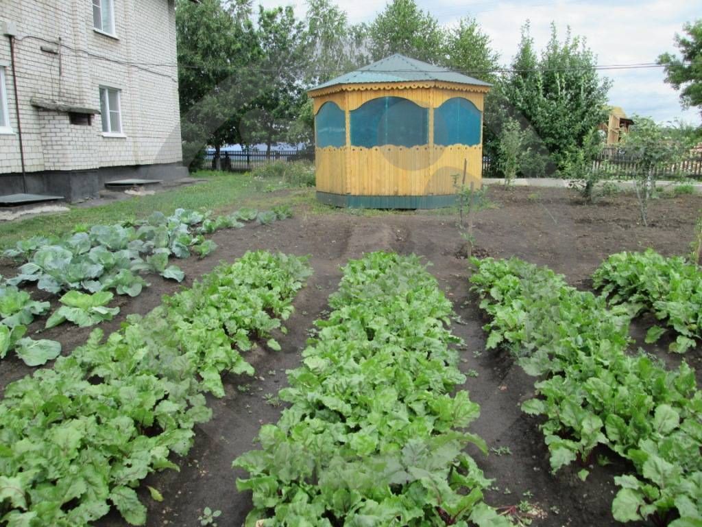 КГБСУСО «Кытмановский дом-интернат малой вместимости»