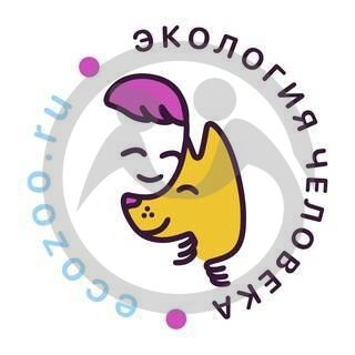 Благотворительный фонд помощи бездомным животным &quot;Лохматый Ангел&quot;