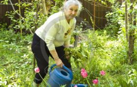 Садоводство – средство от депрессии. 