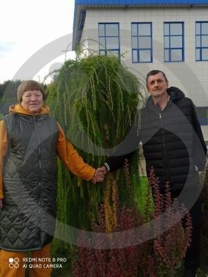 Семья Дегтяревых