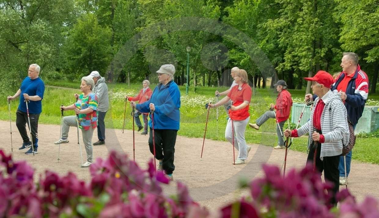 Скандинавская ходьба как инструмент сохранения здоровья и долголетия в пожилом возрасте.