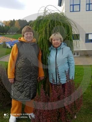 Семья Дегтяревых