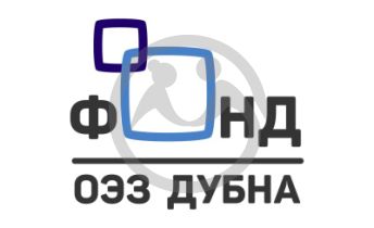 Фонд содействия развитию особой экономической зоны &quot;Дубна&quot;; образованию, науке, экологии, спорту, культуре; поддержки детей, подростков, молодежи и ветеранов - &quot;ОЭЗ Дубна&quot;