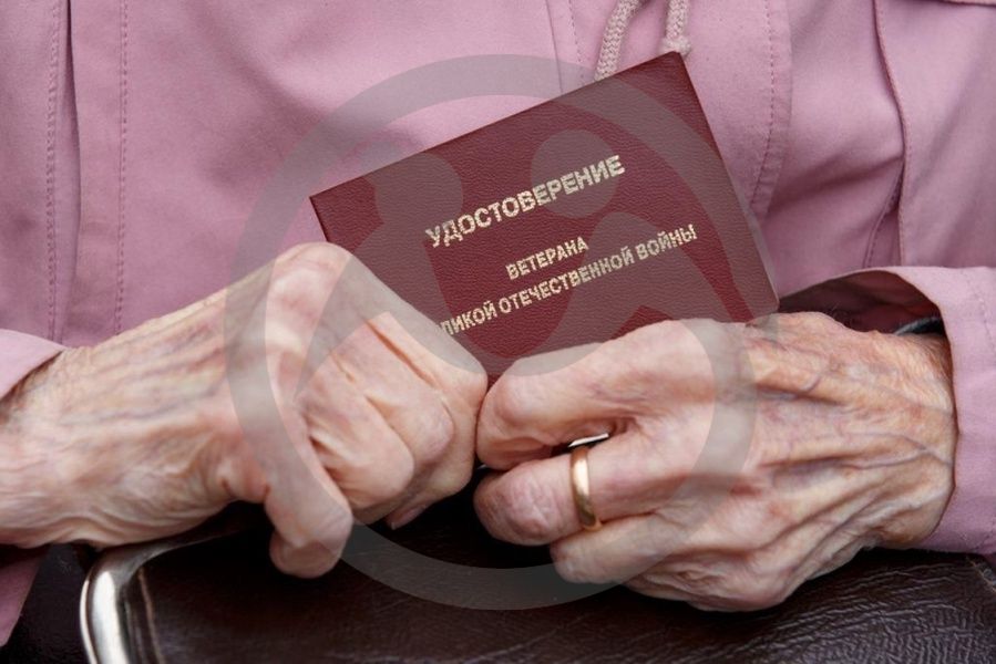 Меры социальной поддержки участникам и ветеранам Великой Отечественной войны 